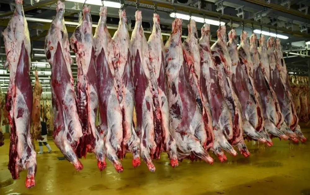Le prix des viandes bovines en léger recul, la tomate en hausse à Casablanca