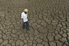 Climat : El Niño pourrait atteindre des niveaux records entre octobre et décembre (OMM)