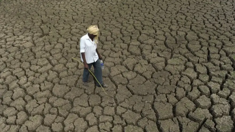 Climat : El Niño pourrait atteindre des niveaux records entre octobre et décembre (OMM)