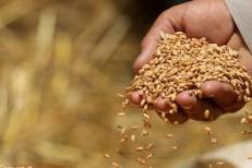 FAO : hausse des prix des produits alimentaires en septembre