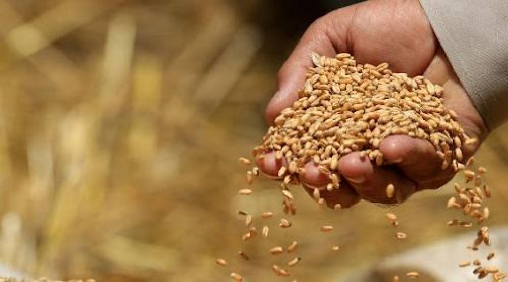 FAO : hausse des prix des produits alimentaires en septembre