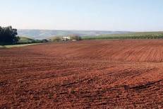 Investissement : le Maroc récupère 5 862 hectares de foncier public et mobilise plus de 90 milliards de dirhams de projets
