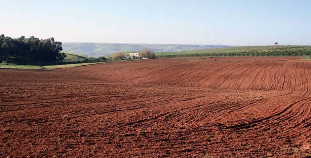 Investissement : le Maroc récupère 5 862 hectares de foncier public et mobilise plus de 90 milliards de dirhams de projets