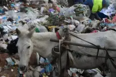 12 MMDH de pertes, 14 MMDH d’investissements, le Maroc face au coût des déchets