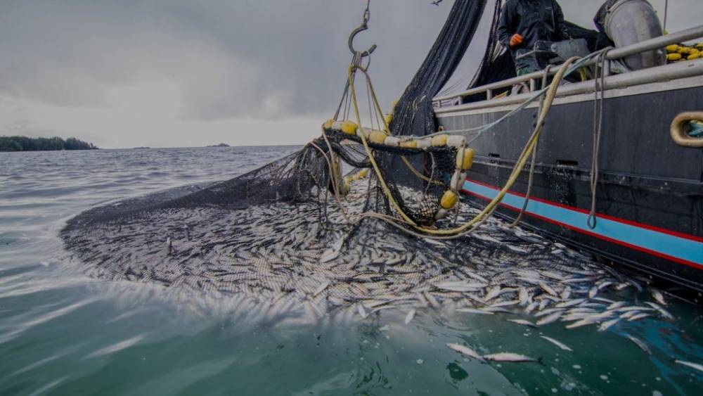 Pêche : la Russie veut doubler son quota dans les eaux marocaines
