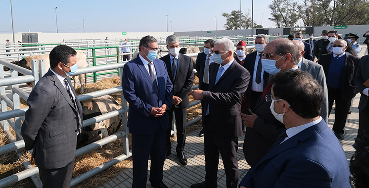 Sidi Bennour accueille le premier marché moderne à bestiaux au niveau national