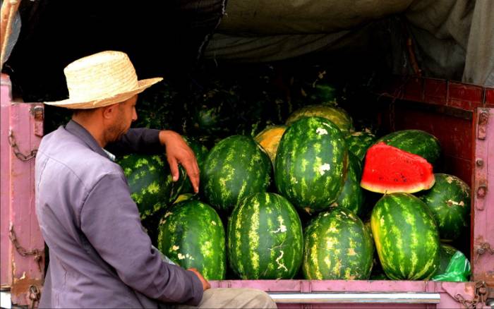 Le Maroc veut adopter rapidement l’AMO pour les indépendants