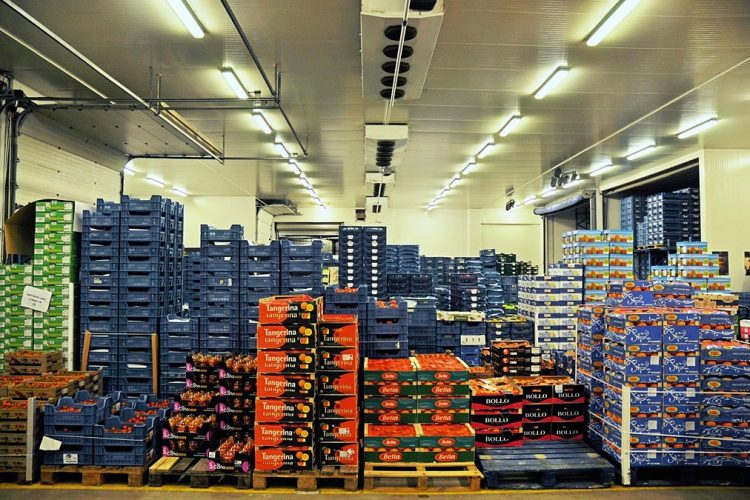 Le Maroc au seuil du top 20 mondial des exportateurs de fruits et légumes