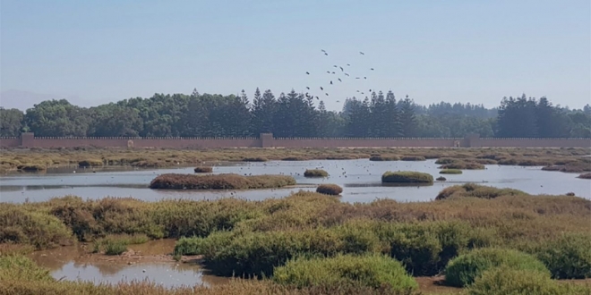 Agadir: une catastrophe écologique menace deux sites naturels