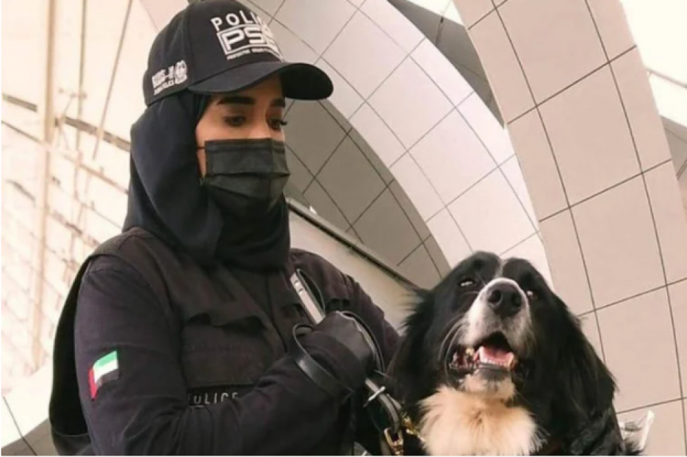 A Dubaï, la police a formé des chiens renifleurs Covid-19