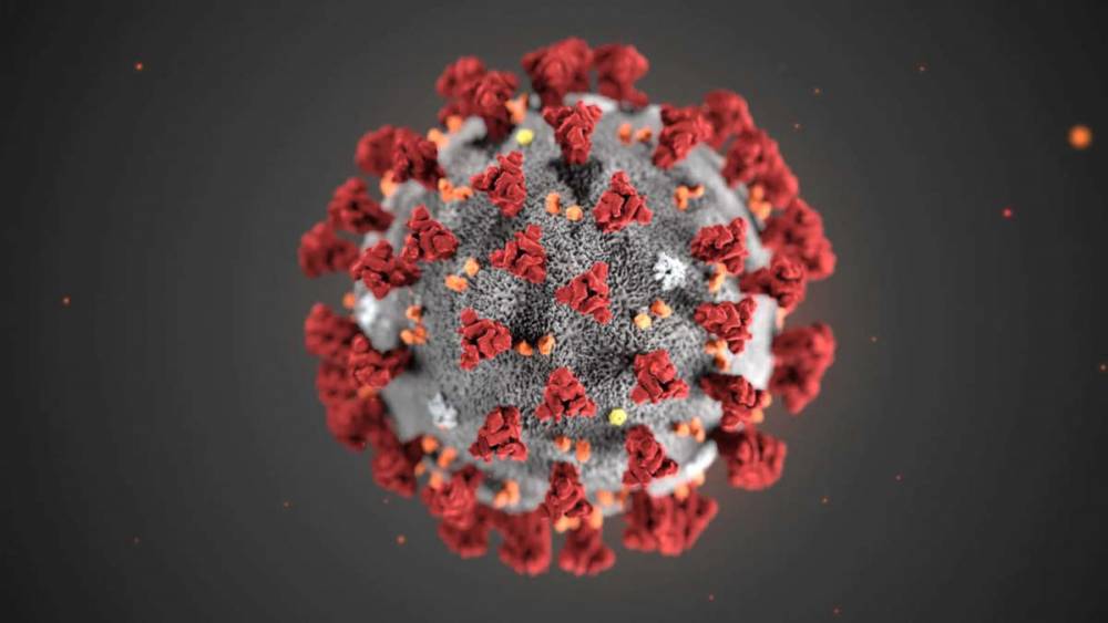 Covid-19 : un traitement en élaboration et un vaccin nasal en test en France