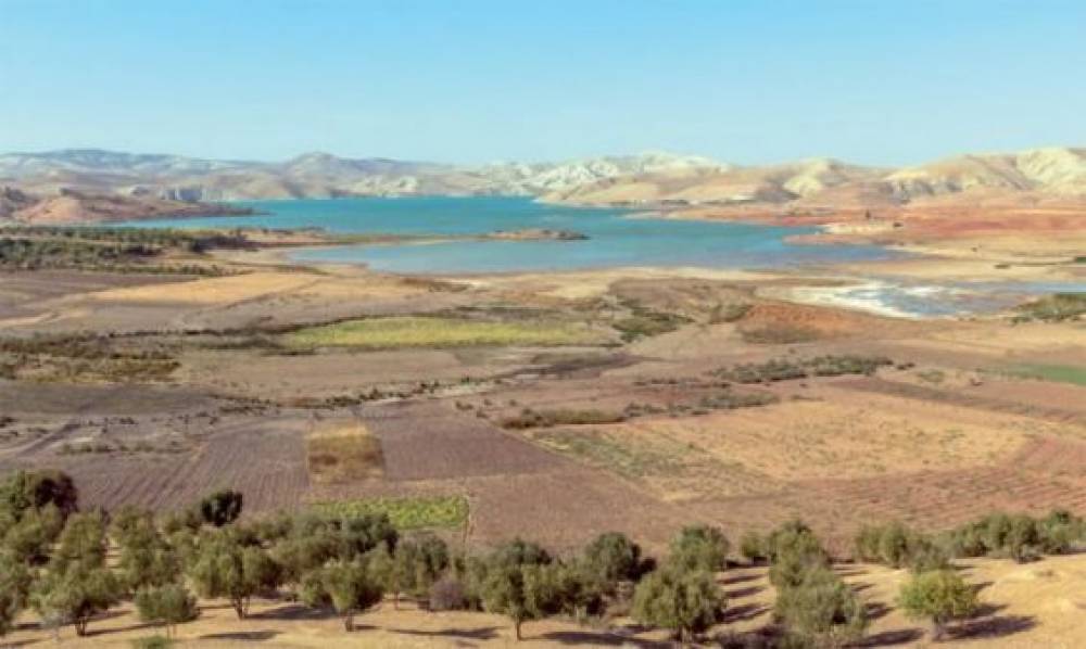 Fès-Meknès : La filière agro-industrielle soutenue à travers de trois projets