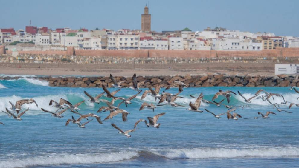 La plage de rabat sera bientôt "Rabat beach": l'appel d'offres pour son réaménagement est lancé