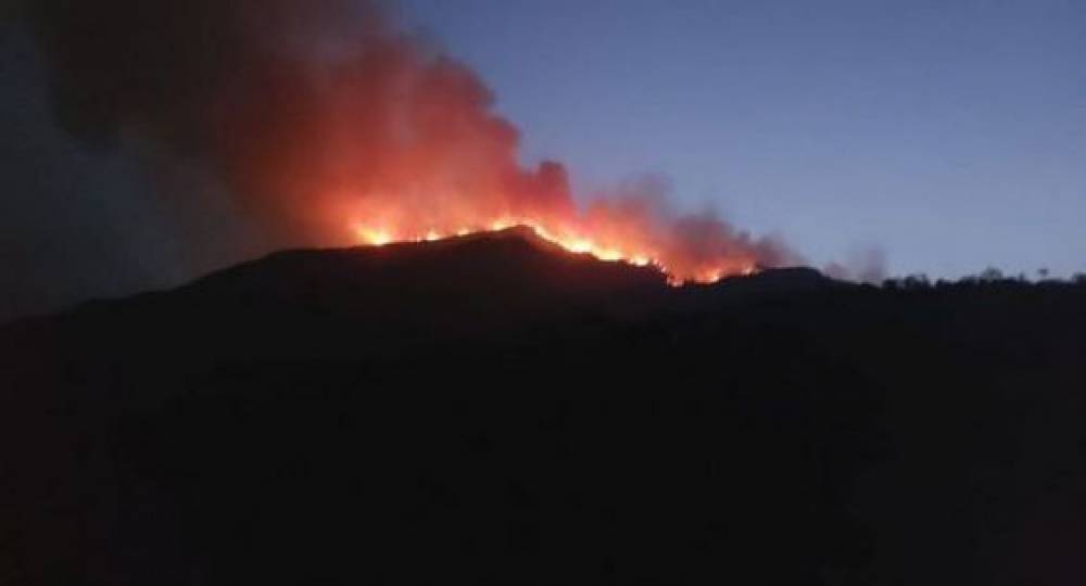 Chefchaouen : Les 1 100 hectares incendiés de la forêt de Jbel Sougna seront réhabilités