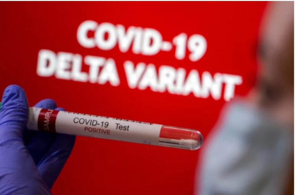 OMS : Le variant Delta a largement remplacé les trois autres variantes préoccupantes du coronavirus