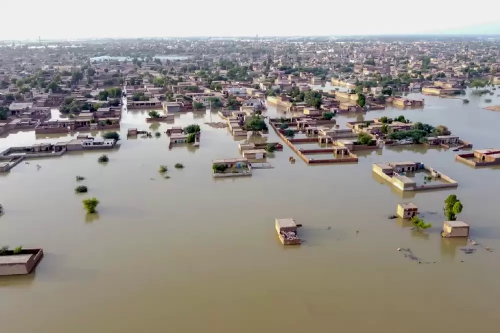 2022, l'été où l'hémisphère nord a senti la violence du réchauffement climatique