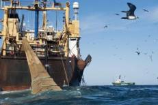 Pêche en Mauritanie : Le Maroc ne souhaite pas laisser le terrain libre à l’Algérie