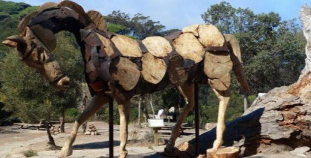 6ème Festival Land Art Tanger- Tétouan-Al Hoceima : 9 artistes marocains et étranger y participent