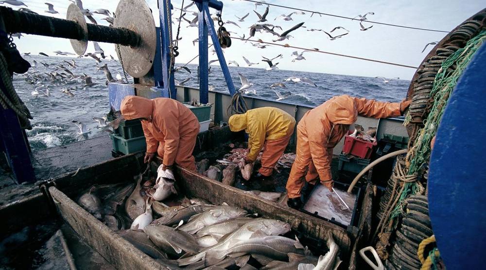 Pêche : Les débarquements en hausse de 26% à fin août