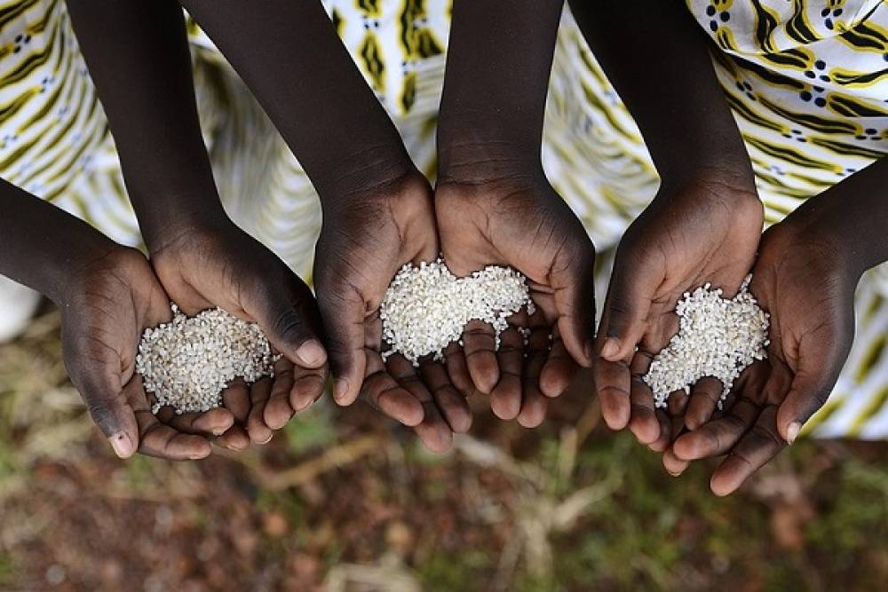 Rome : La sécurité alimentaire en Afrique au cœur du partenariat Maroc-FAO-Israël