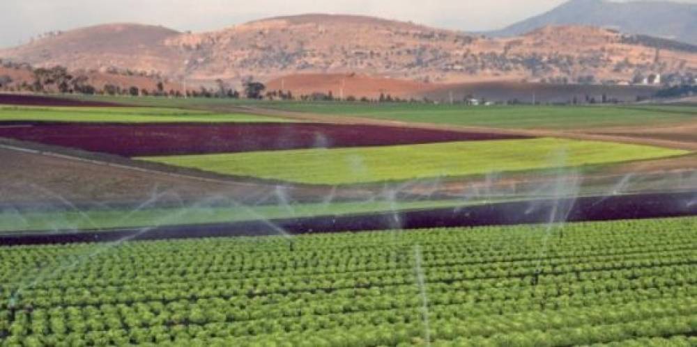 Fès-Meknès : Etude de faisabilité pour l’aménagement hydro-agricole de 54 000 ha