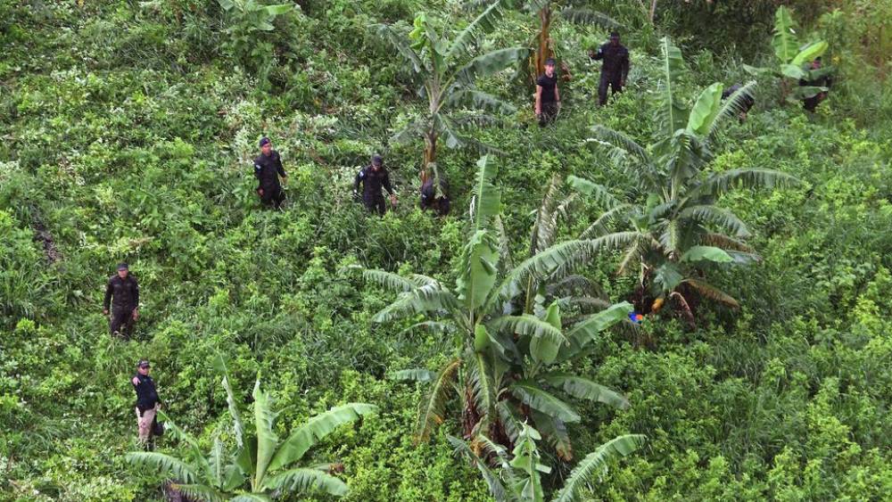 Le Honduras, point de transit de la cocaïne, en passe de devenir producteur