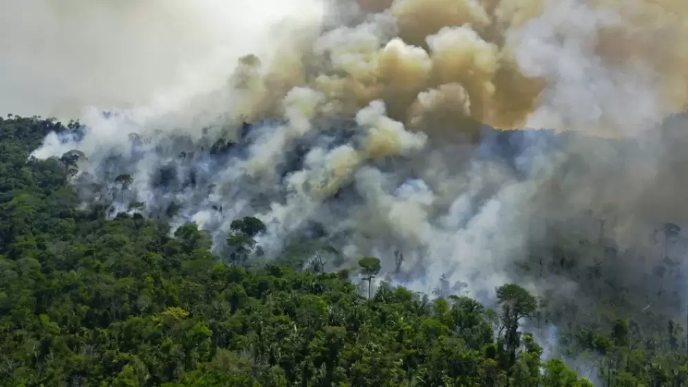 Brésil : plus d'incendies ont été détectés en Amazonie depuis janvier que sur toute l'année 2021