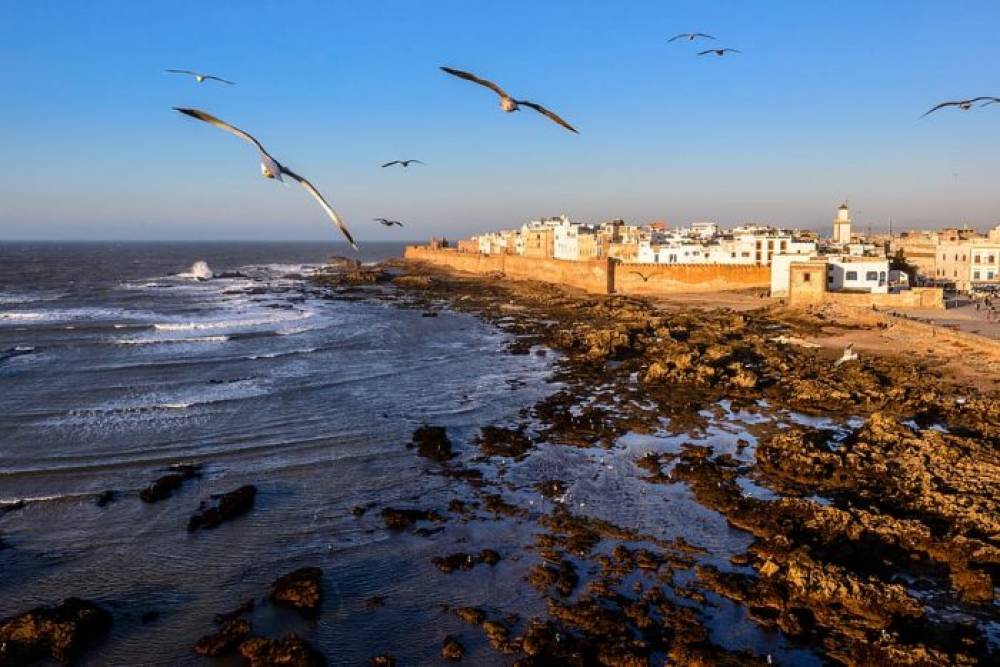 Essaouira : L’art des Rways sous les projecteurs