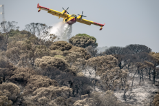 Canicule et feux de forêt: huit provinces classées en risque extrême ce weekend