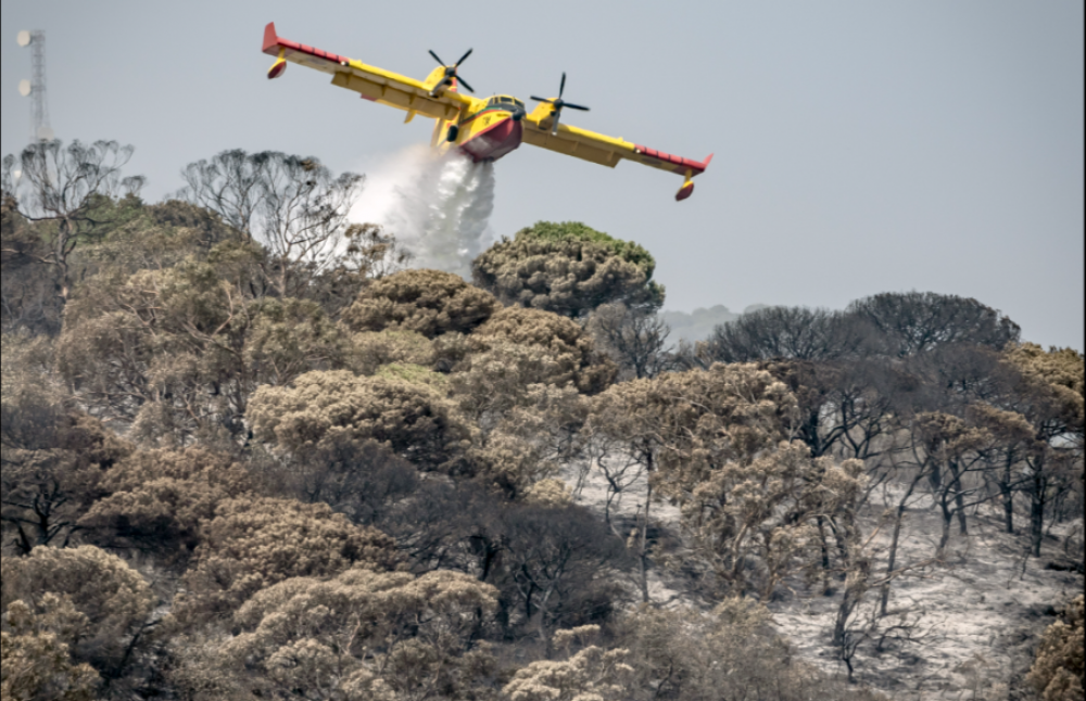 Canicule et feux de forêt: huit provinces classées en risque extrême ce weekend