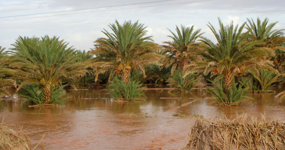 Pluies torrentielles, inondations et crues dévastatrices dans le sud-est du Maroc: les explications de la DGM