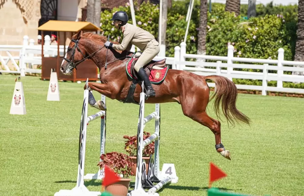 Saut d’obstacles : clôture du Concours officiel des jeunes chevaux de la Garde Royale