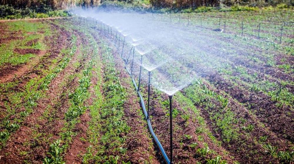 La Conférence internationale sur l'innovation dans le domaine de l'eau et l’irrigation intelligente, du 25 au 27 septembre à Marrakech