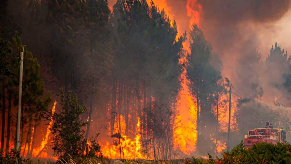 Feu au Portugal : Au moins sept morts