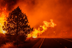 Grèce: deux morts dans un incendie de forêt près du golfe de Corinthe