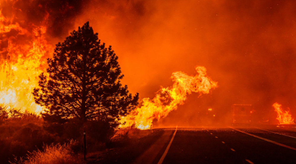 Grèce: deux morts dans un incendie de forêt près du golfe de Corinthe