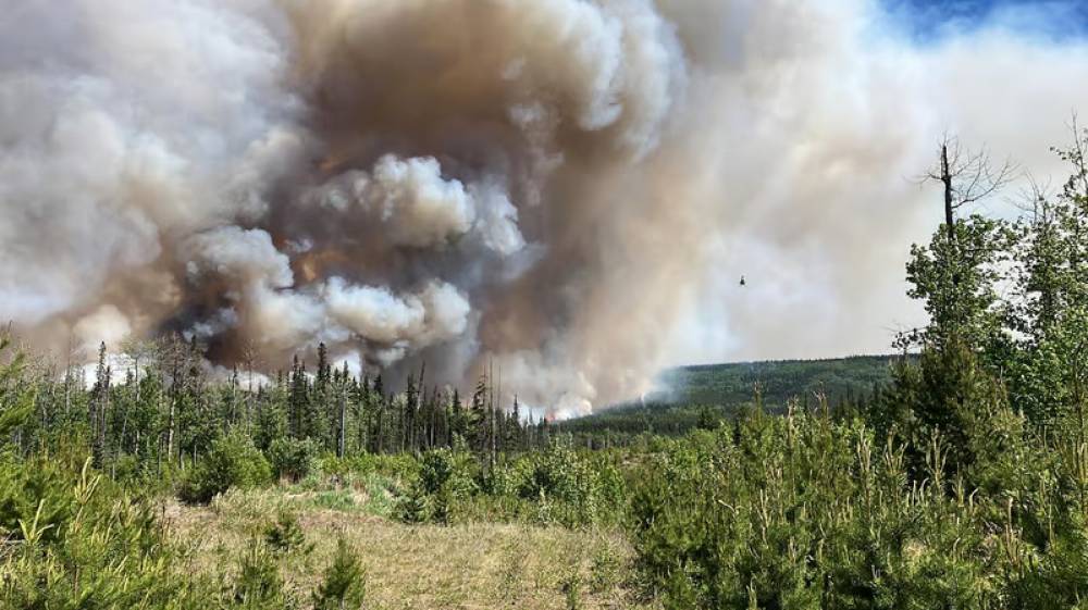 Feux de forêt au Canada : Près de 140 incendies actifs en Colombie-Britannique