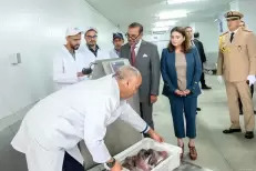 Le nouveau port de pêche de Casablanca, un levier stratégique pour promouvoir le secteur de la pêche