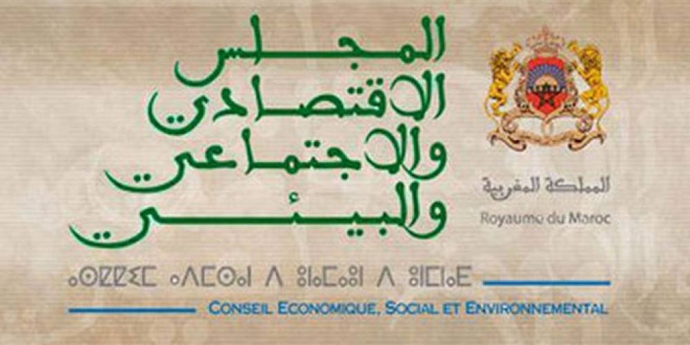 Industries : Le CESE appelle à accélérer la décarbonation