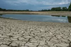 Le Maroc prépare un cadre juridique renforcé pour la transparence climatique