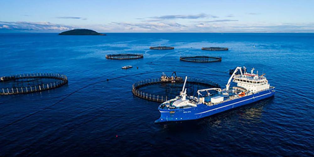 Économie bleue : renforcement du partenariat Maroc–Banque mondiale