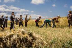 Subventions agricoles et sécurité alimentaire : dispositifs renforcés face à la sécheresse