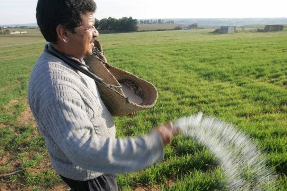 Inde : Le Maroc double ses exportations d’engrais et grimpe au 3ᵉ rang