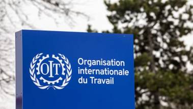 Trois candidats en lice pour le poste de Directeur...