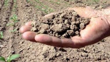 El Niño pourrait causer 451.000 décès supplémentai...