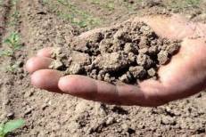 El Niño pourrait causer 451.000 décès supplémentaires liés à la chaleur, selon une étude