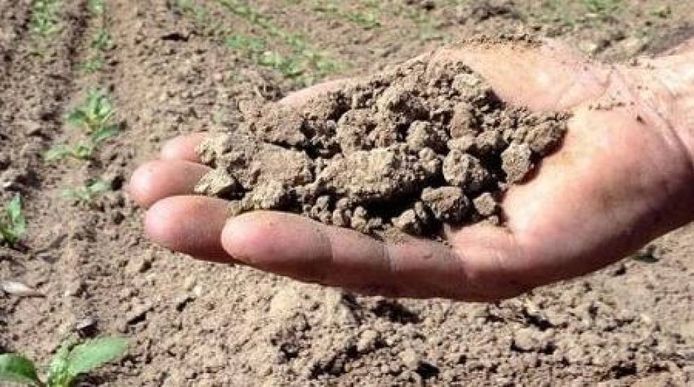 El Niño pourrait causer 451.000 décès supplémentaires liés à la chaleur, selon une étude